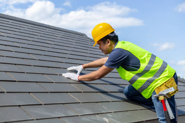 Best Roof Leak Repair  in Chesapeake, WV