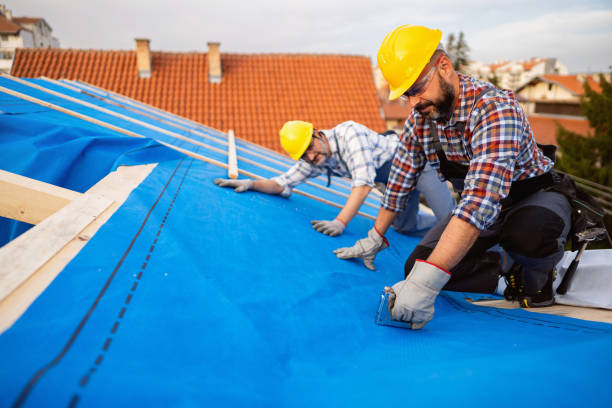 Best Flat Roof Repair Services  in Chesapeake, WV