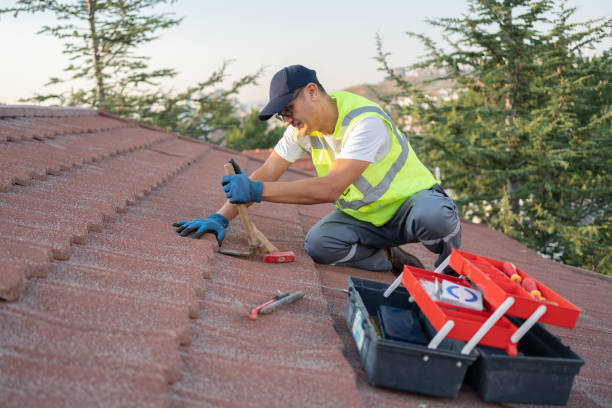 Best Residential Roofing Contractor  in Chesapeake, WV