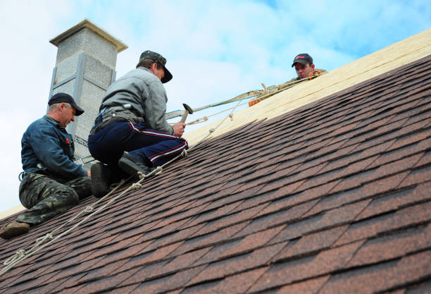 Best Emergency Roof Repair  in Chesapeake, WV